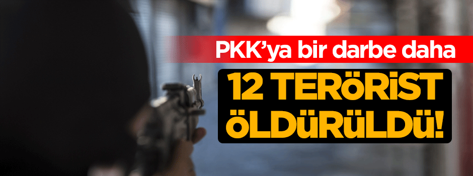 TSK'dan bir darbe daha! 12 terörist öldürüldü