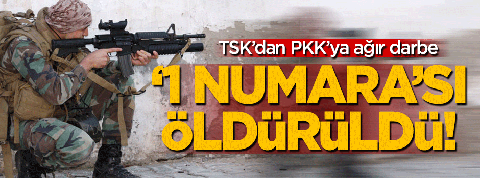 TSK'dan büyük darbe! PKK'nın '1 numarası' öldürüldü