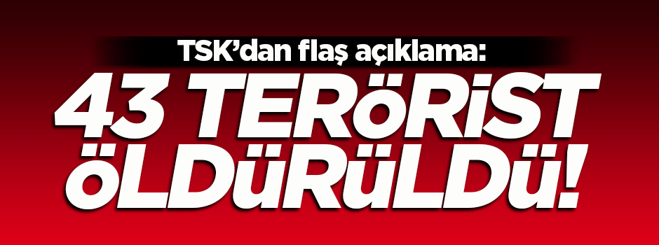 TSK'dan flaş açıklama! 43 terörist imha edildi...