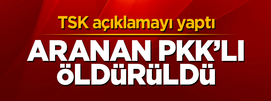 TSK'dan flaş açıklama: PKK'nın sözde Kendal sorumlusu öldürüldü