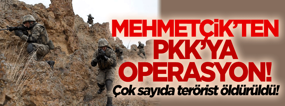 TSK'dan Hakkari'de terör örgütü PKK'ya operasyon!