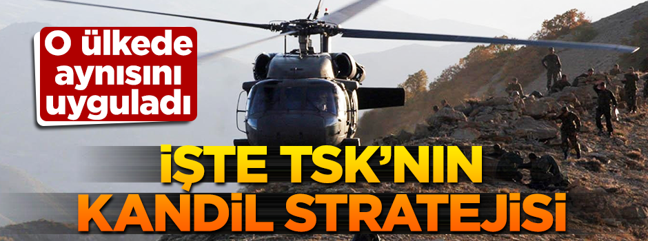 TSK, Sri Lanka stratejisini örnek aldı! Kandil'e uyguluyor