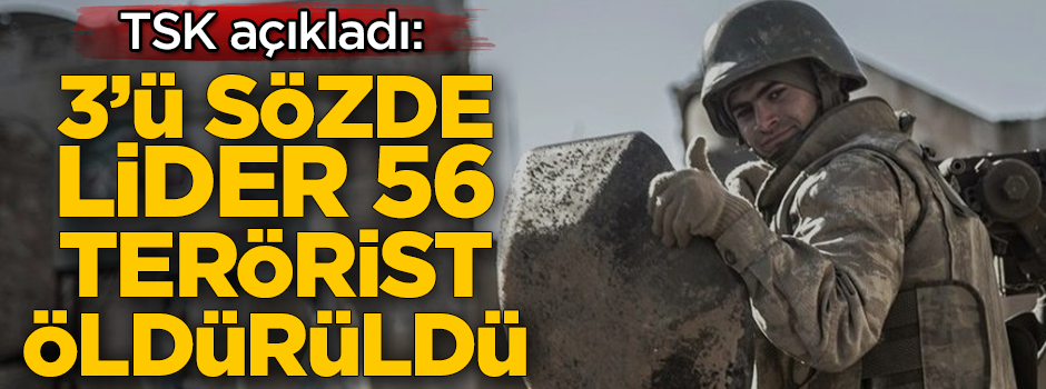 TSK'dan terör örgütü PKK'ya çok ağır darbe