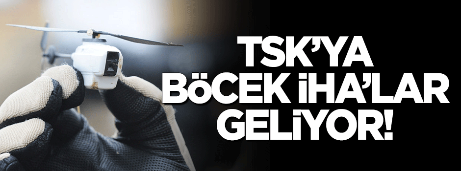 TSK'ya 'böcek' İHA'lar geliyor!
