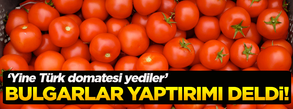 Tüfenkci: Ruslar Türk domatesini yine yedi