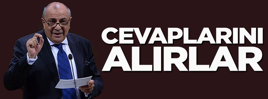 Tuğrul Türkeş: Cevaplarını alırlar