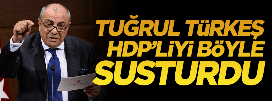 Tuğrul Türkeş Meclis'te HDP'li vekili böyle susturdu