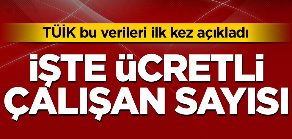 TÜİK bu verileri ilk kez açıkladı! İşte ücretli çalışan sayısı