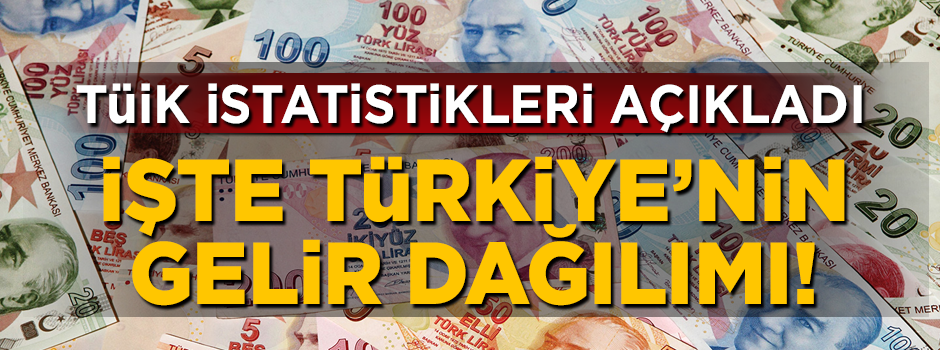 TÜİK istatistikleri açıkladı! İşte gelir dağılımı