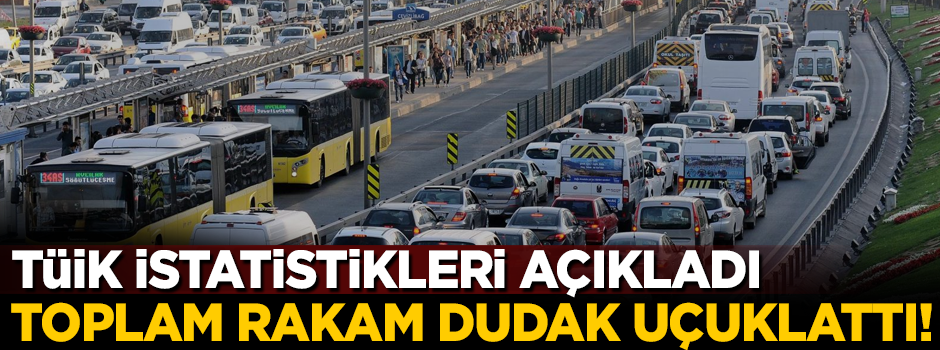 TÜİK istatistikleri açıkladı! Toplam rakam dudak uçuklattı