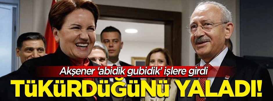 Tükürdüğünü yaladı... Akşener 'abidik gubidik' işlere girdi