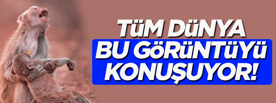 Tüm dünya bu görüntüyü konuşuyor!