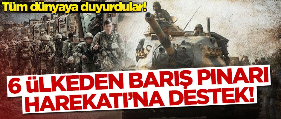 Tüm dünyaya duyurdular! 6 ülkeden Barış Pınarı Harekatı'na destek