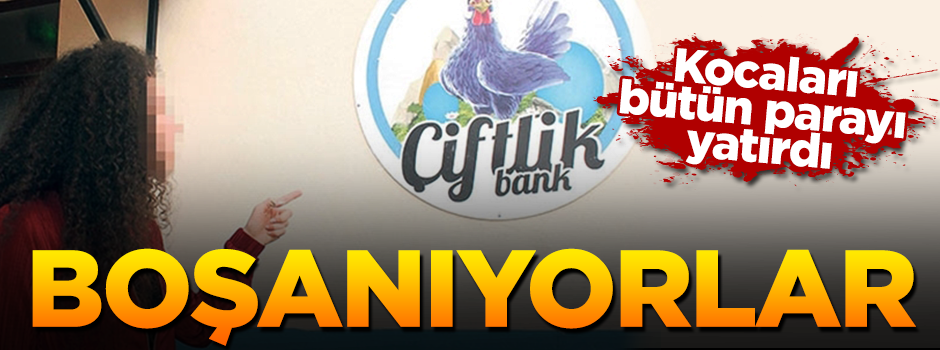 Tüm paralarını Çiftlik Bank’a yatıran kocalarına boşanma davası açtılar