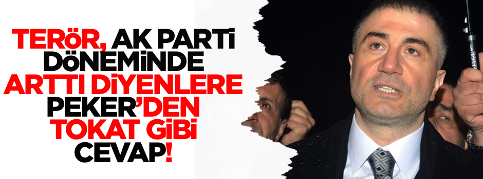 'Tüm teröristleri cezaevine atmıştınız da biz mi bilmiyorduk'