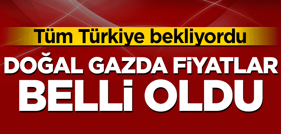 Tüm Türkiye bekliyordu! Doğal gazda fiyatlar belli oldu
