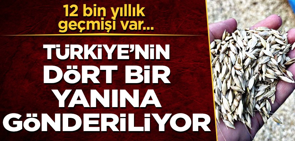 Türkiye'nin dört bir yanına gönderiliyor! Kabulca ve kaplıca ismiyle biliniyor! 12 bin yıllık geçmişi var