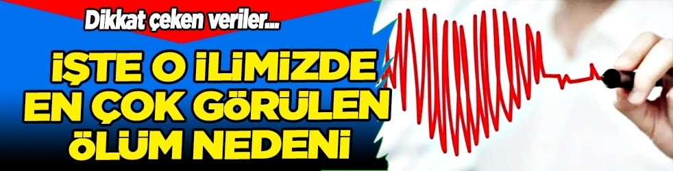 Tüm Türkiye'ye duyurdular: O ilimizde en yaygın ölüm nedeni... Her 2 kişiden biri bu sebeple öldü