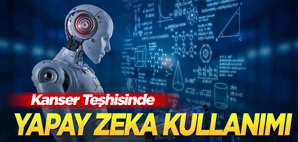 Tüm Türkiye’yi ilgilendiriyor! Bakan Yardımcısı Yılmaz, sevindirici gelişmeyi Bolu’dan paylaştı: 6 güne kadar iniyor