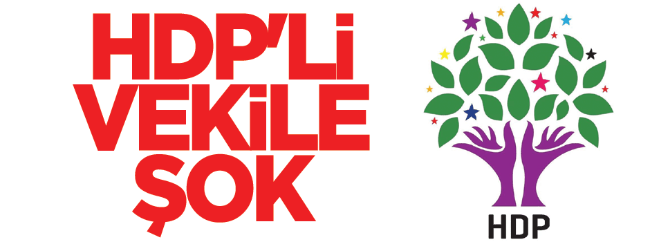 Tunceli Valisi’nden HDP’li vekile tazminat davası