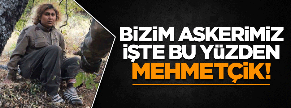 Tunceli'de 13 terörist etkisiz hale getirildi