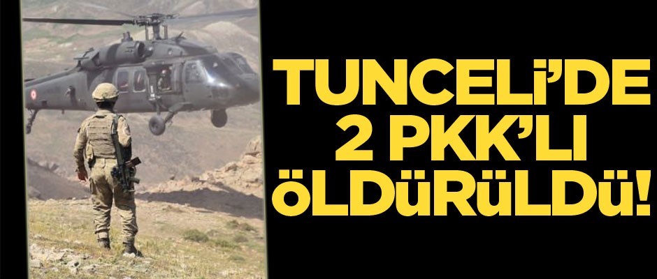 Tunceli'de 2 PKK'lı etkisiz hale getirildi