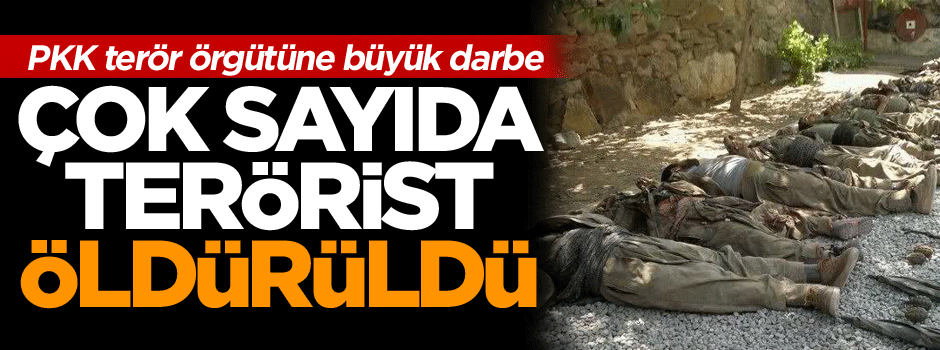 Tunceli’de terör büyük darbe, çok sayıda terörist öldürüldü