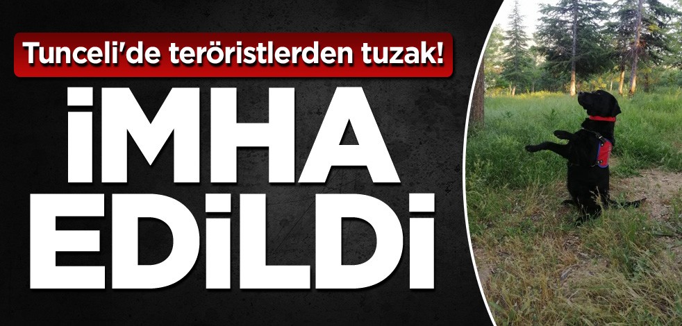 Tunceli'de teröristlerden tuzak! İmha edildi