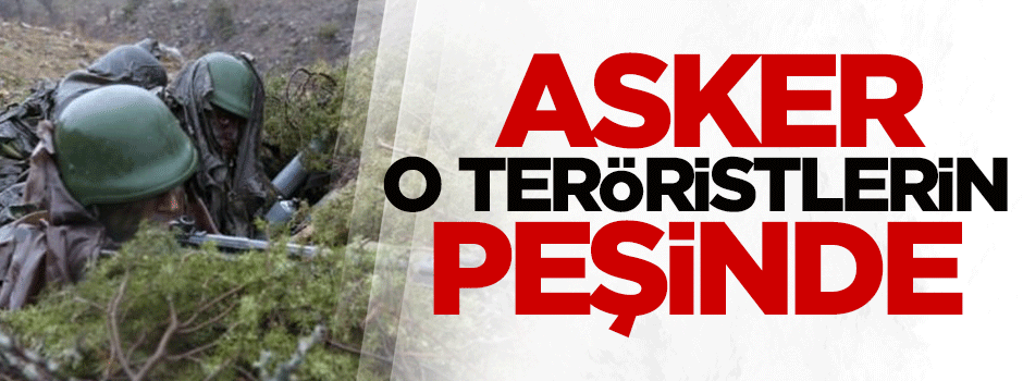 Tunceli'deki operasyon sürüyor