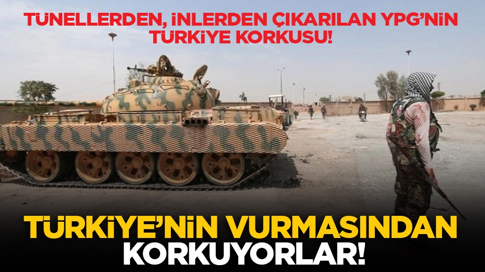 Tünellerden, inlerden çıkarılan YPG’nin Türkiye korkusu! Türkiye’nin vurmasından korkuyorlar!