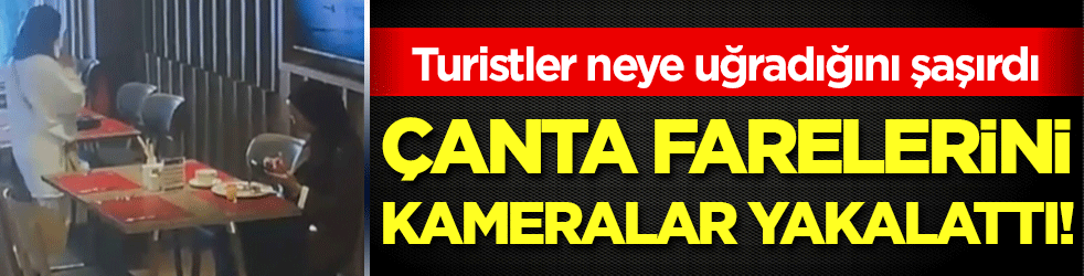 Turistler neye uğradığını şaşırdı! Çanta farelerini kameralar yakalattı!