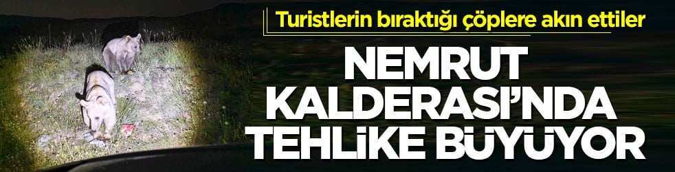 Turistlerin bıraktığı çöplere akın ettiler! Nemrut Kalderası’nda tehlike büyüyor