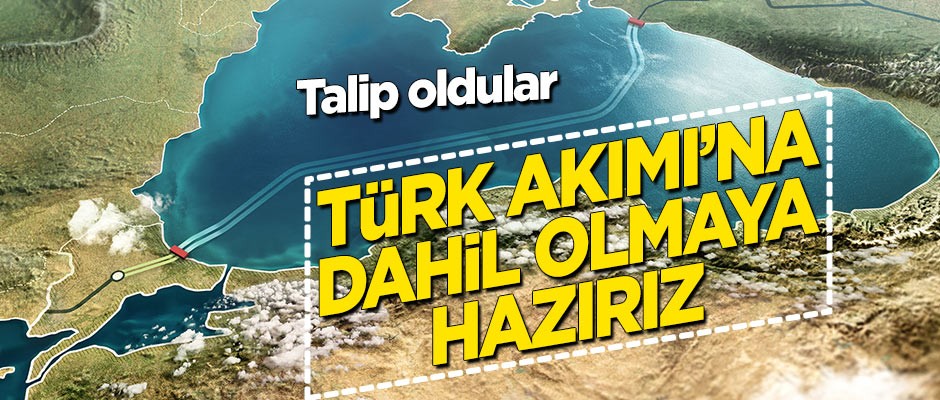 "Türk Akımı'na dahil olmaya hazırız"