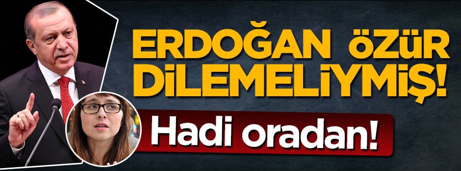 Türk asıllı Alman vekilden küstah istek: Erdoğan Merkel'den özür dilesin