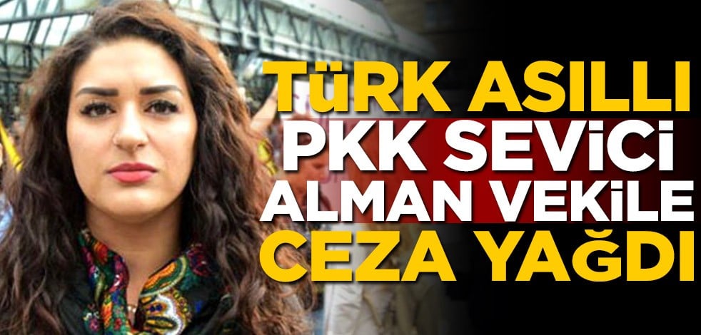 Türk asıllı PKK sevici Alman vekile ceza yağdı