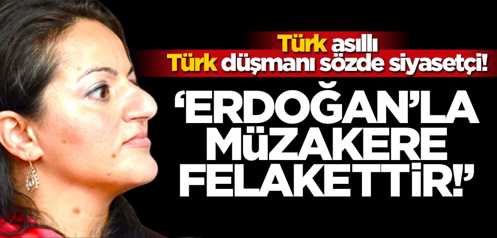 Türk asıllı siyasetçiden skandal sözler!