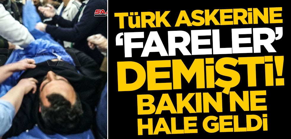 Türk askerine 'fareler' diyen Şadi Hilve bakın ne hale geldi!