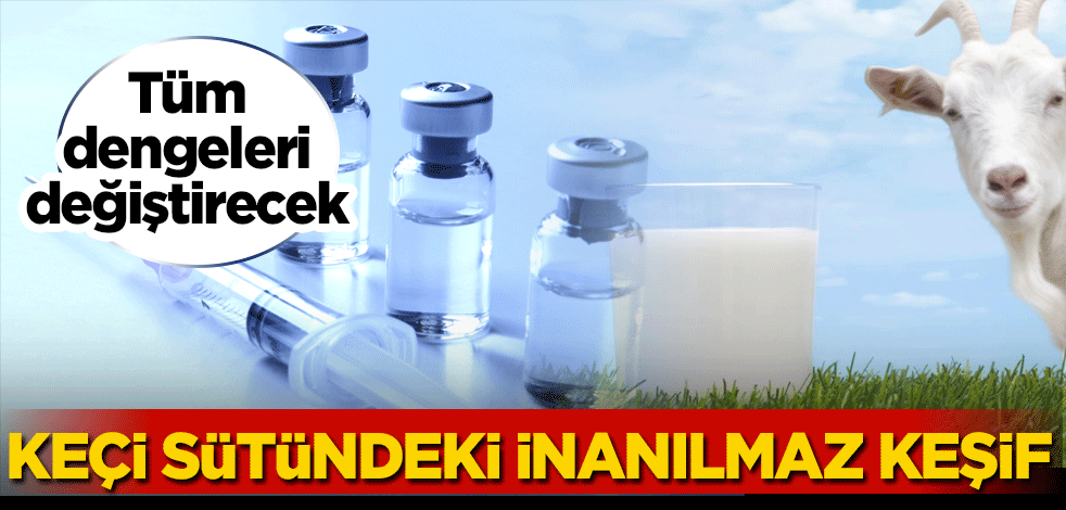 Türk bilim insanları keçi sütünün içindeki bir maddenin koronavirüse karşı etkili olduğunu tespit etti