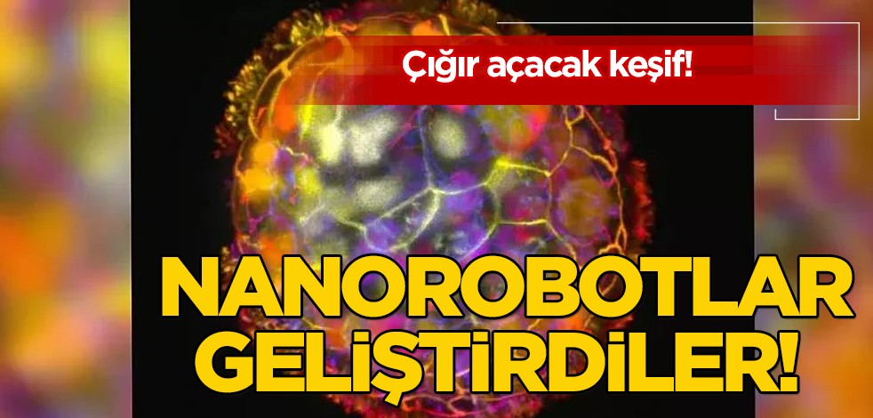 Türk biyolog Gizem Gümüşkaya'da orada: Dünyada çığır açacak dönem başladı! Tarihi keşif, önemli bir paylaşım
