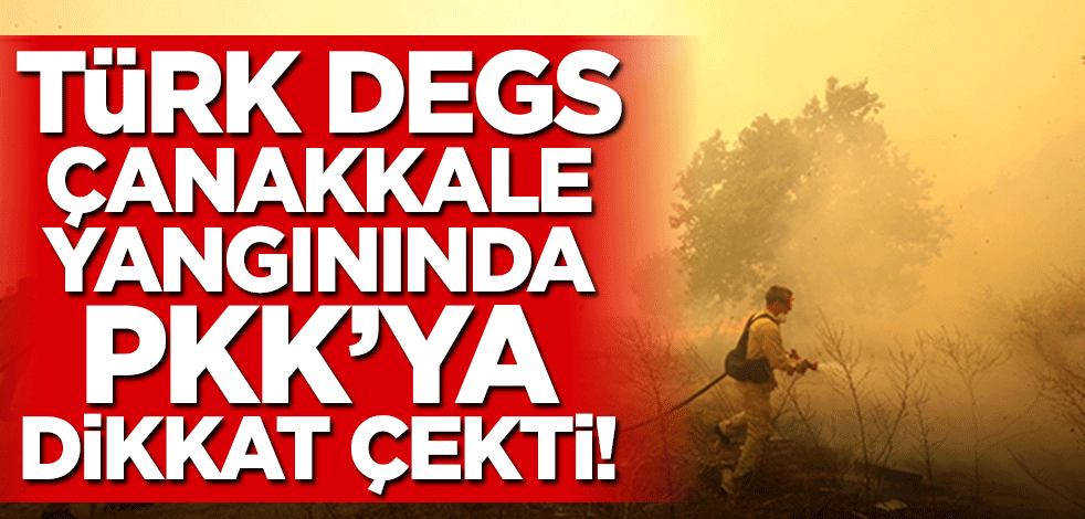 TÜRK DEGS'den Çanakkale'deki yangına ilişkin PKK hatırlatması!