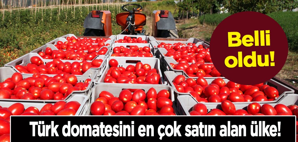 Türk domatesini en çok satın alan o ülke belli oldu: İhracatta devasal artış! Domates ihracatında yoğun talep var