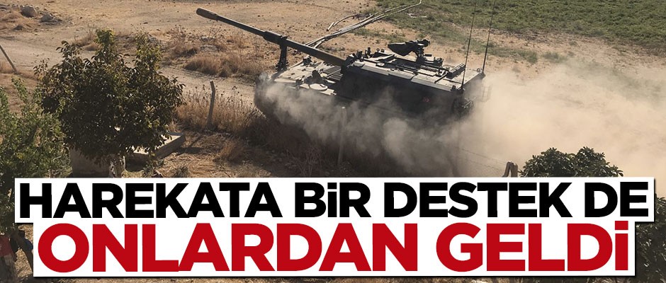 Türk Dünyası Dayanışma ve Yardımlaşma Derneği'nden Barış Pınarı Harekatı'na destek