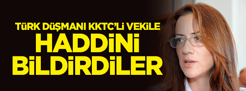Türk düşmanı KKTC'li vekile haddini bildirdiler!