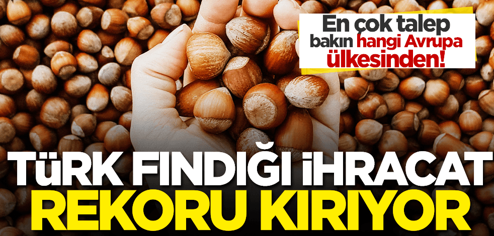 Türk fındığı ihracat rekoru kırıyor! En çok talep bakın hangi ülkeden