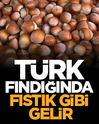 Türk fındığında fıstık gibi gelir