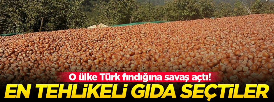 Türk fındığını en tehlikeli gıda seçtiler!