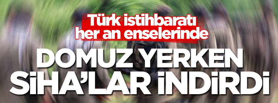 Türk istihbaratı her an enselerinde... Domuz yerken SİHA'lar indirdi!