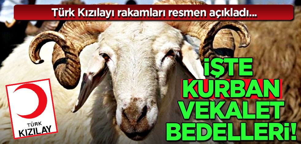 Türk Kızılay, kurban için vekalet bedellerini açıkladı! Vatandaşlar dini görevlerini ifa edecekler... Haberin detayı