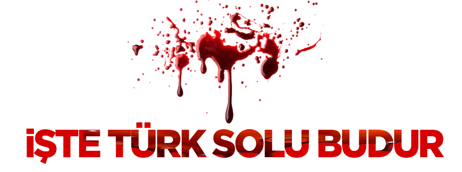 Türk solu işte budur