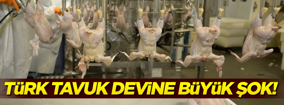 Türk tavuk devine soruşturma şoku!